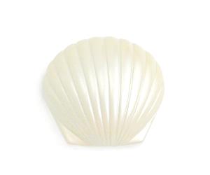 tb keepsake pearl shell